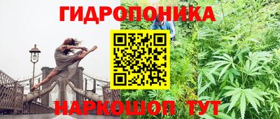 ECSTASY Будённовск